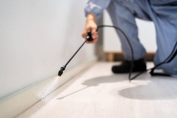 Licensed Pest Control service in Albuquerque, NM - Show Me Pest Control